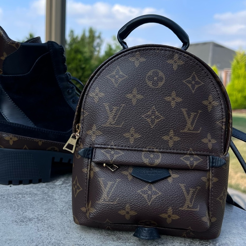 LOUIS VUITTON PALM SPRINGS MINI